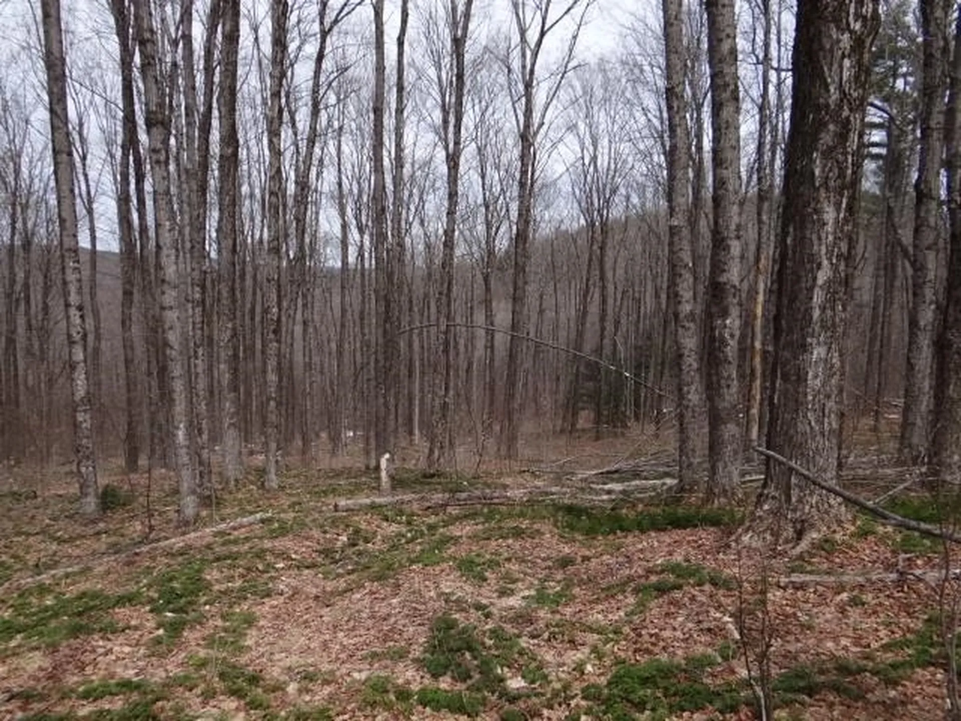 0 South Road Woodstock VT 05071