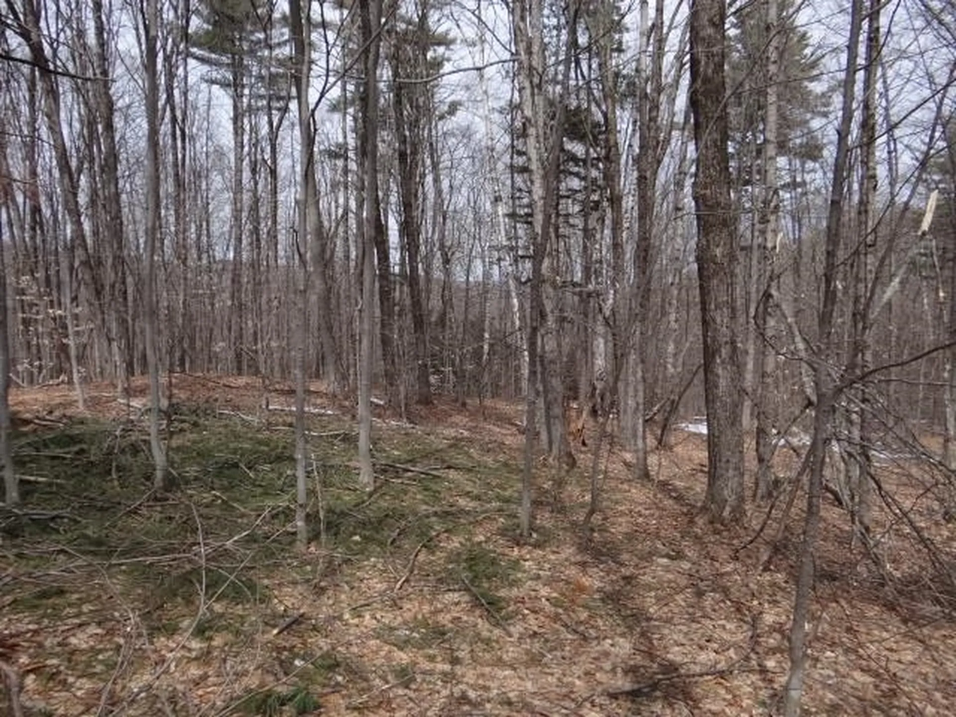 0 South Road Woodstock VT 05071