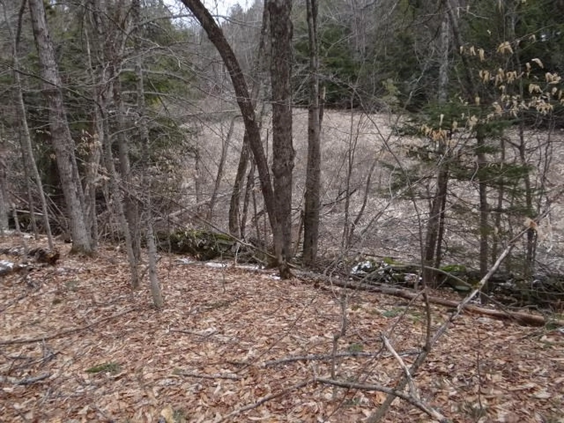 0 South Road Woodstock VT 05071