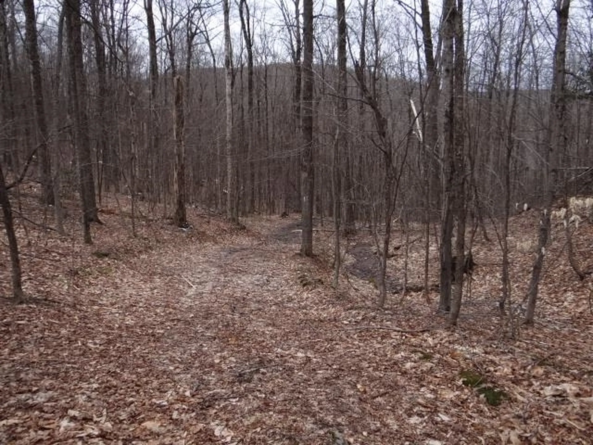 0 South Road Woodstock VT 05071