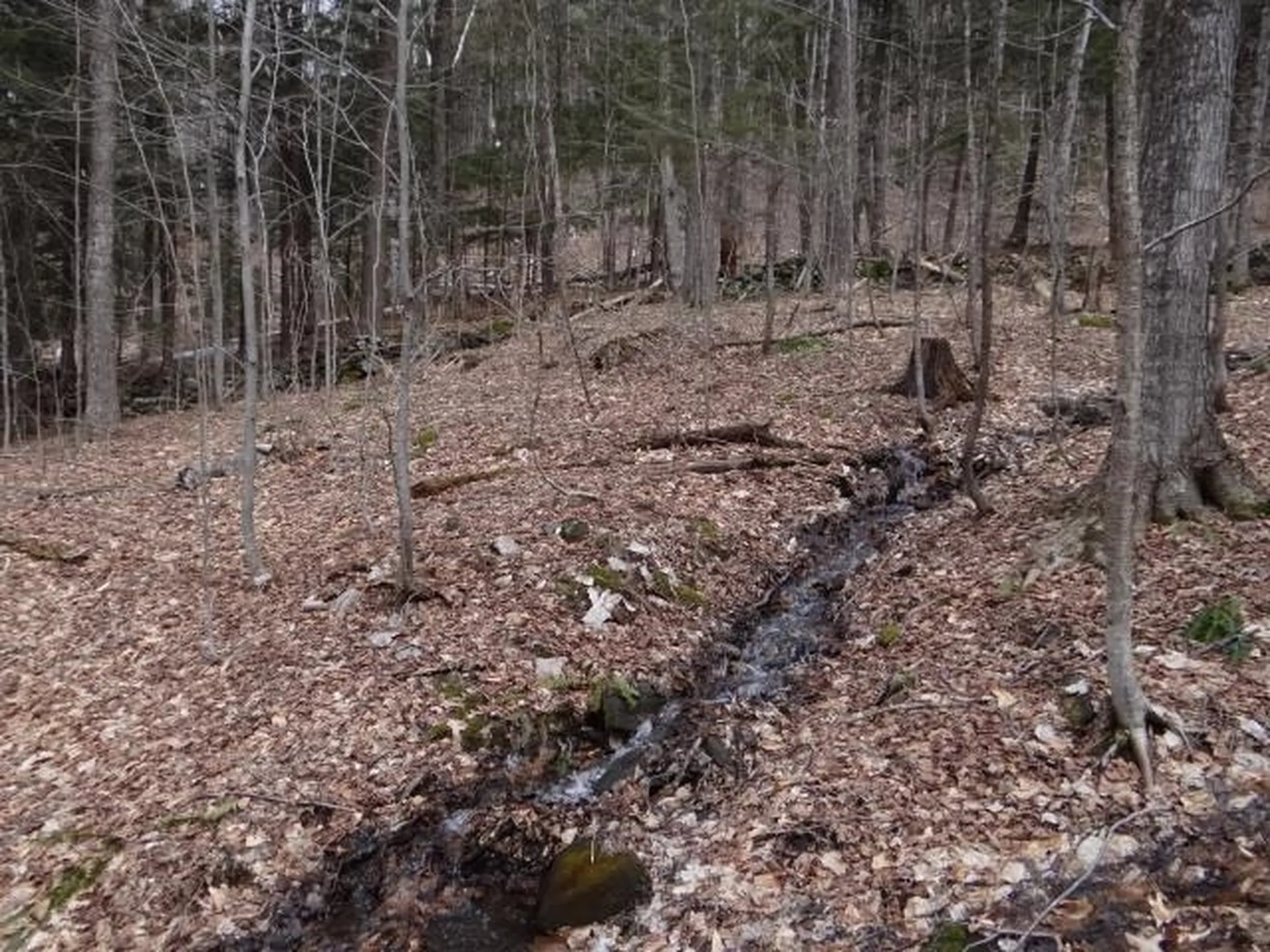 0 South Road Woodstock VT 05071