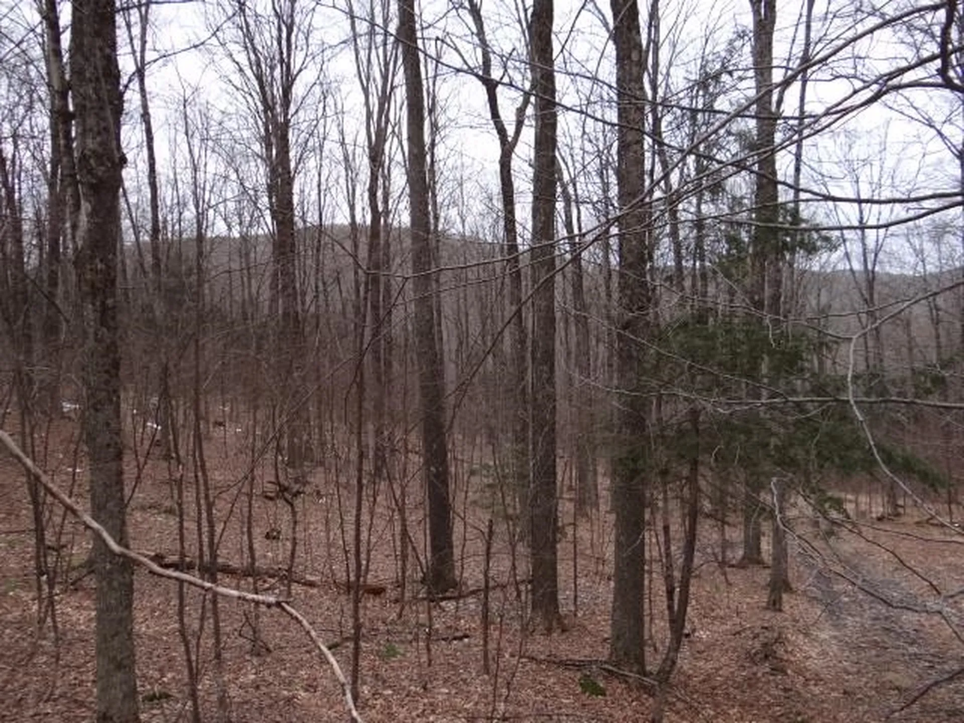 0 South Road Woodstock VT 05071