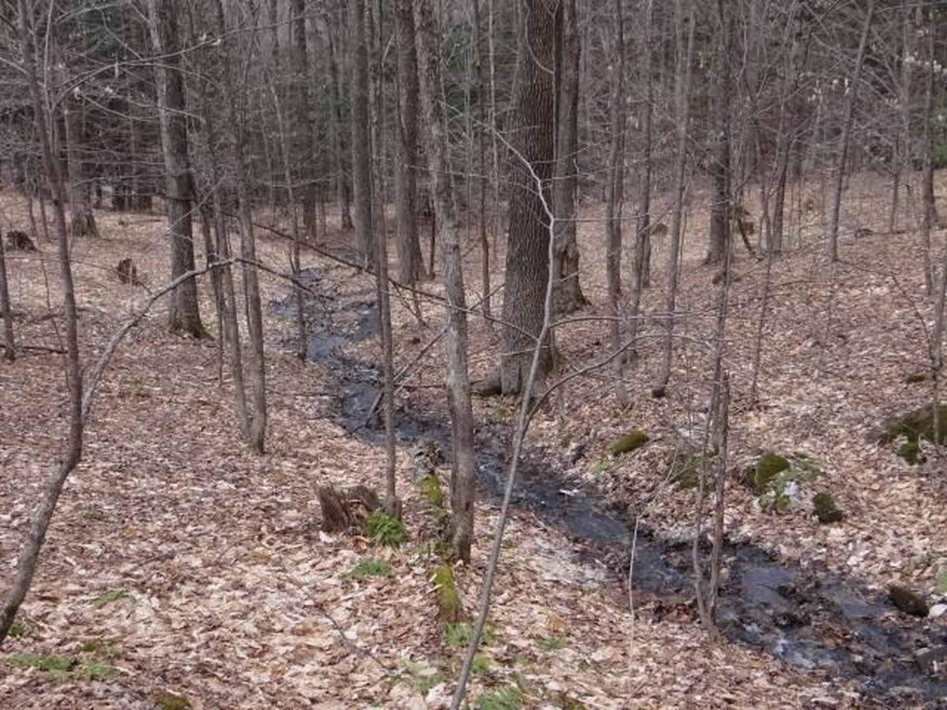 0 South Road Woodstock VT 05071