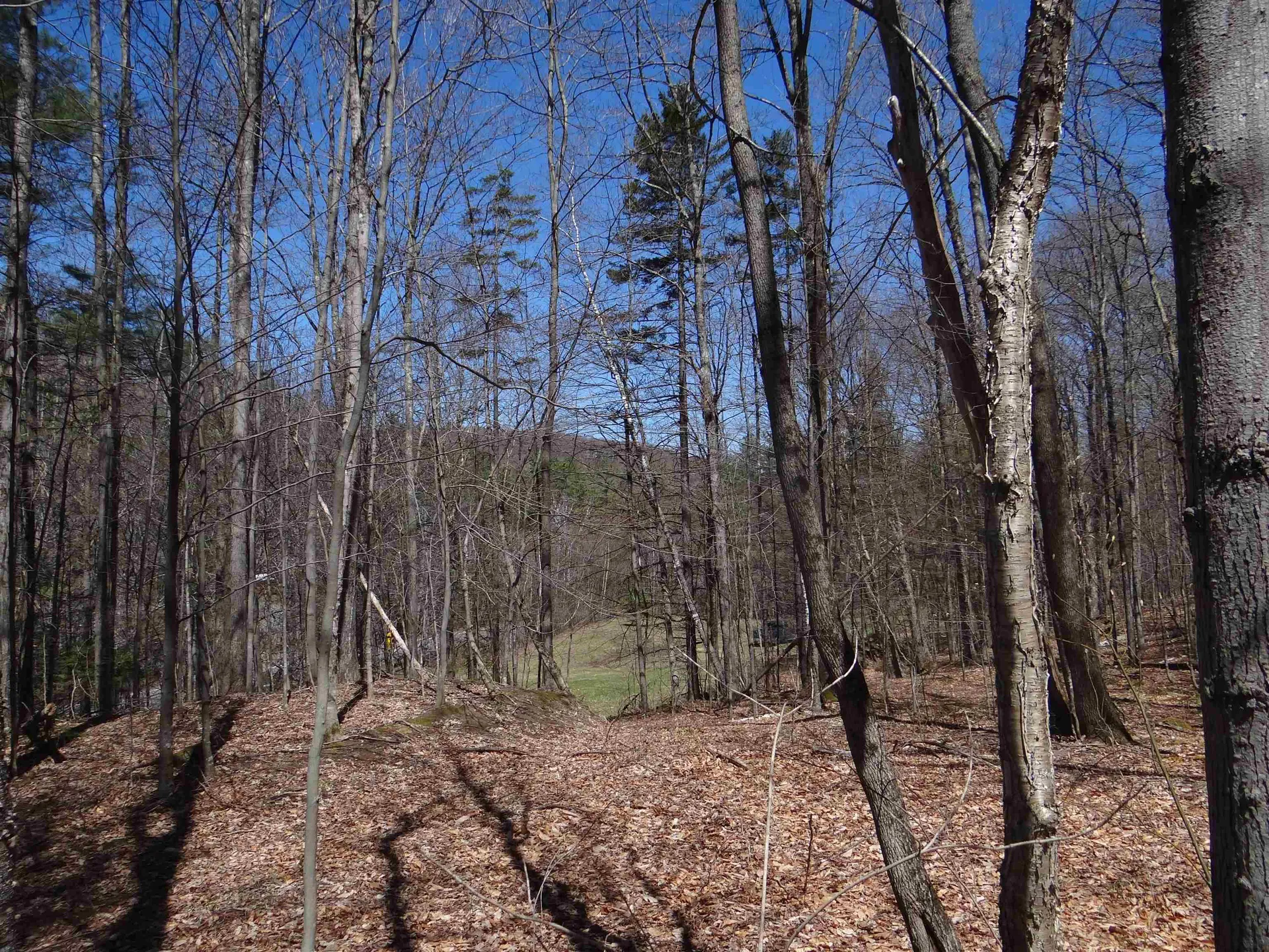 0 South Road Woodstock VT 05071