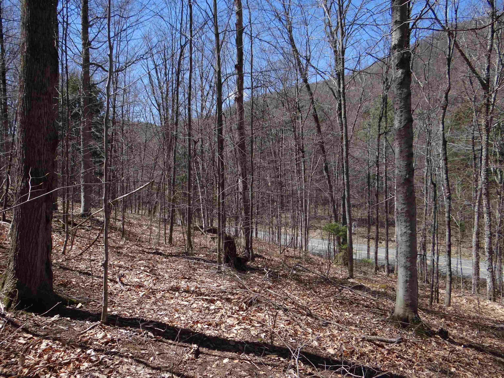 0 South Road Woodstock VT 05071