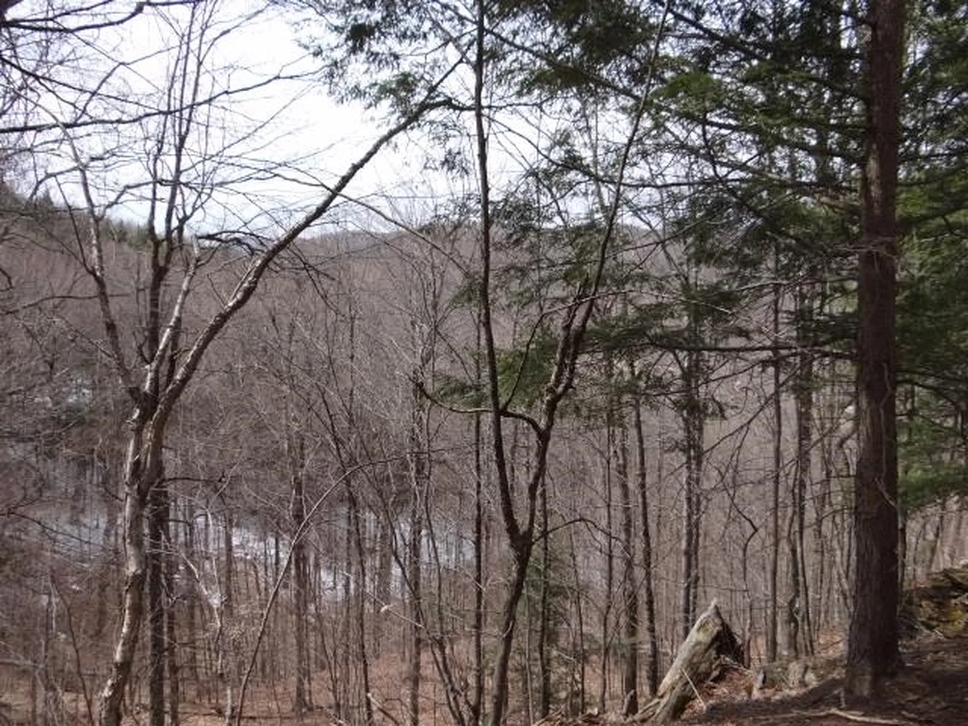 0 South Road Woodstock VT 05071