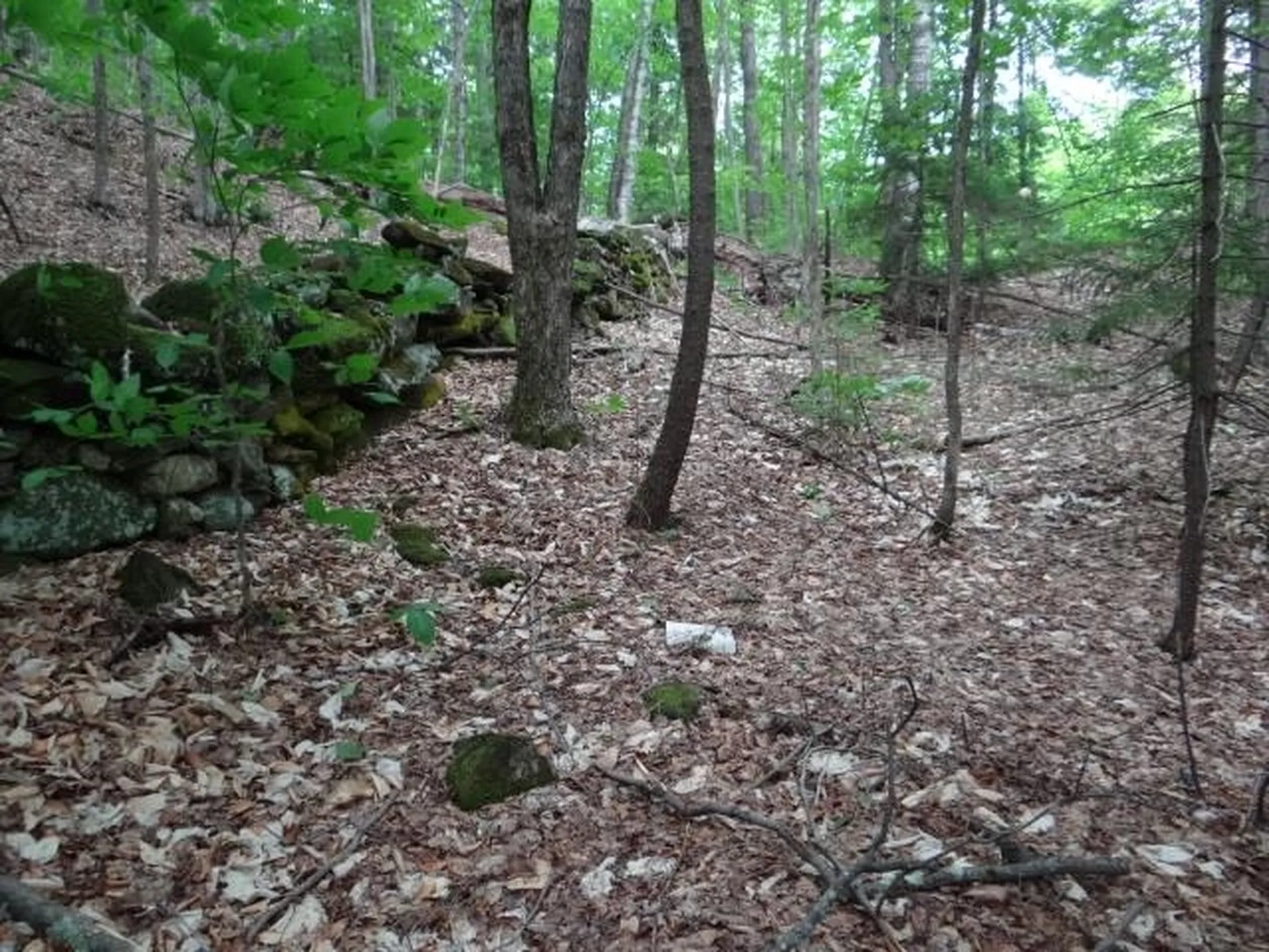 0 South Road Woodstock VT 05071