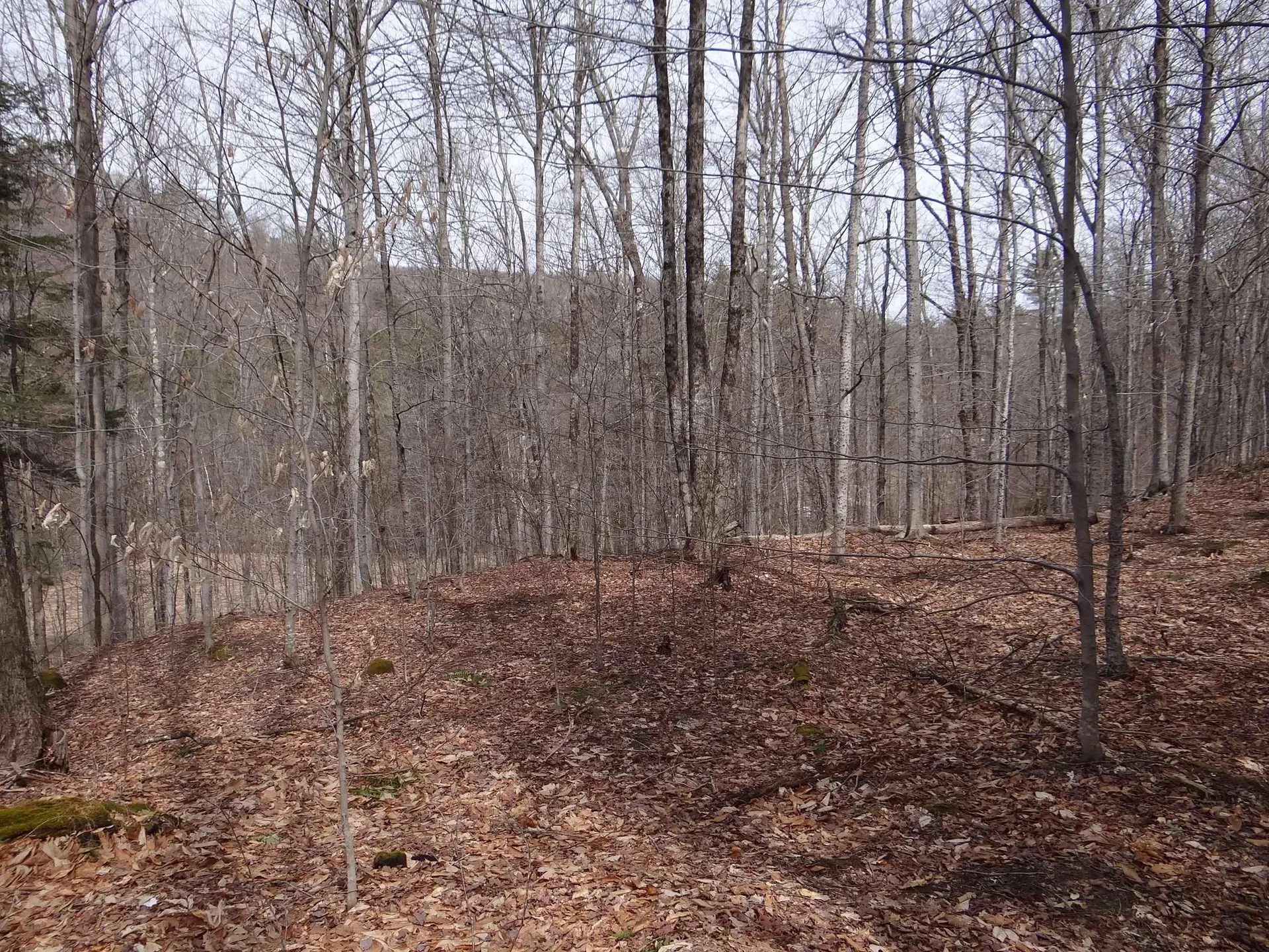 0 South Road Woodstock VT 05071