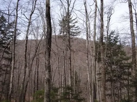 0 South Road Woodstock VT 05071