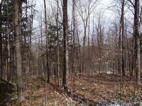 0 South Road Woodstock VT 05071