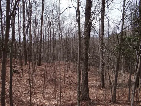 0 South Road Woodstock VT 05071