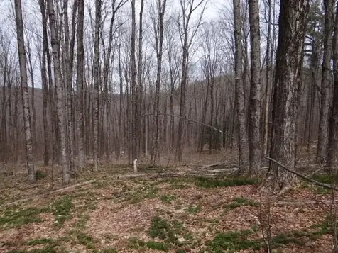 0 South Road Woodstock VT 05071