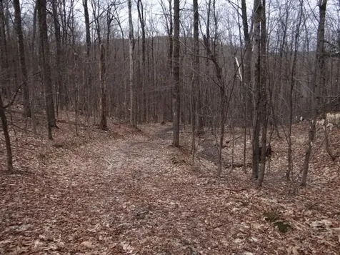 0 South Road Woodstock VT 05071