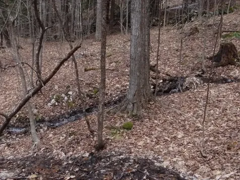 0 South Road Woodstock VT 05071