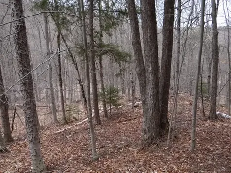 0 South Road Woodstock VT 05071