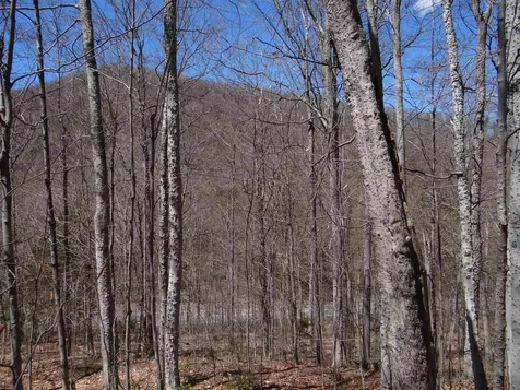 0 South Road Woodstock VT 05071