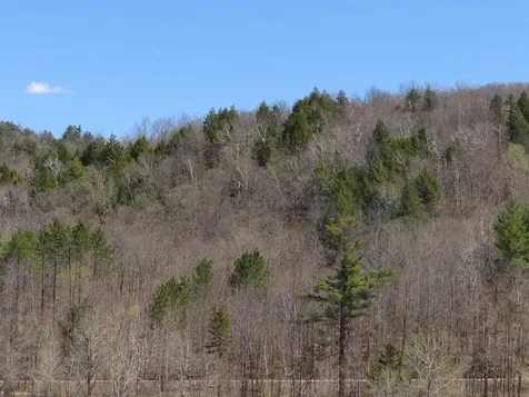 0 South Road Woodstock VT 05071