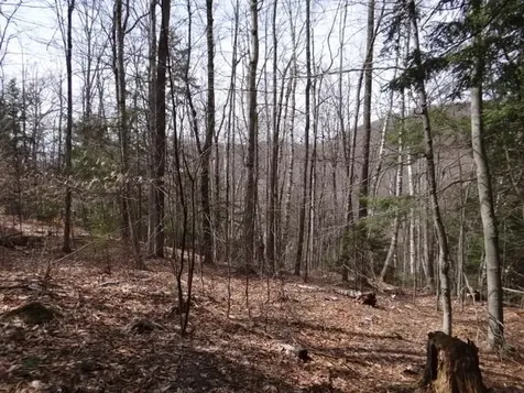 0 South Road Woodstock VT 05071