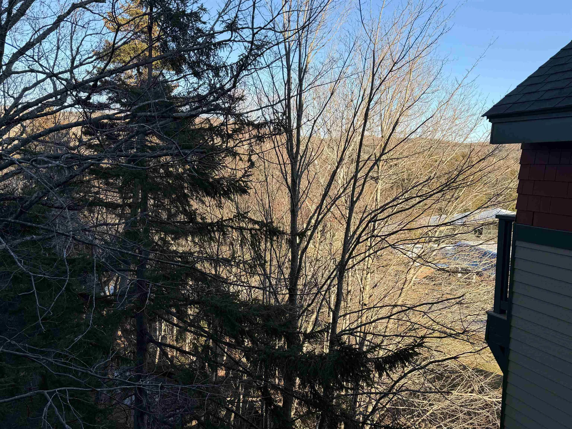 204/206 Qtr 2 Grand Summit Way Dover VT 05356