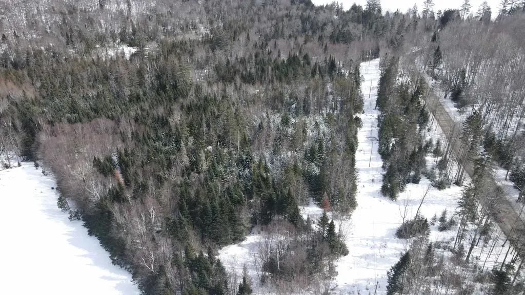 0 Shadow Lake Road Glover VT 05839