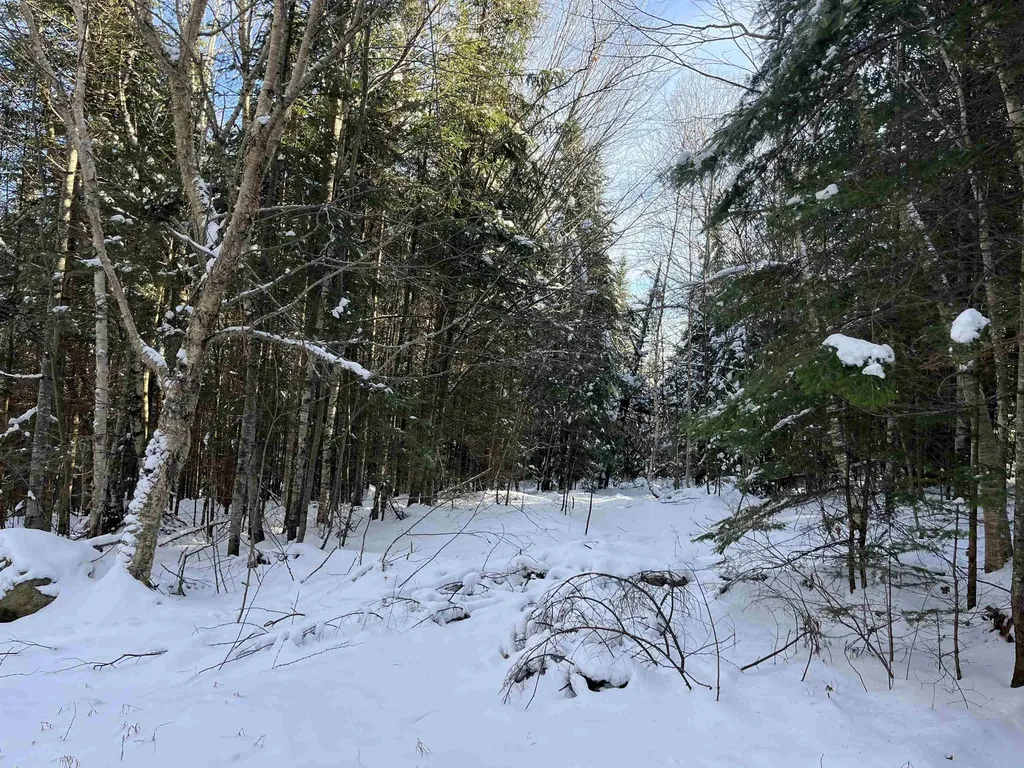 0 Shadow Lake Road Glover VT 05839