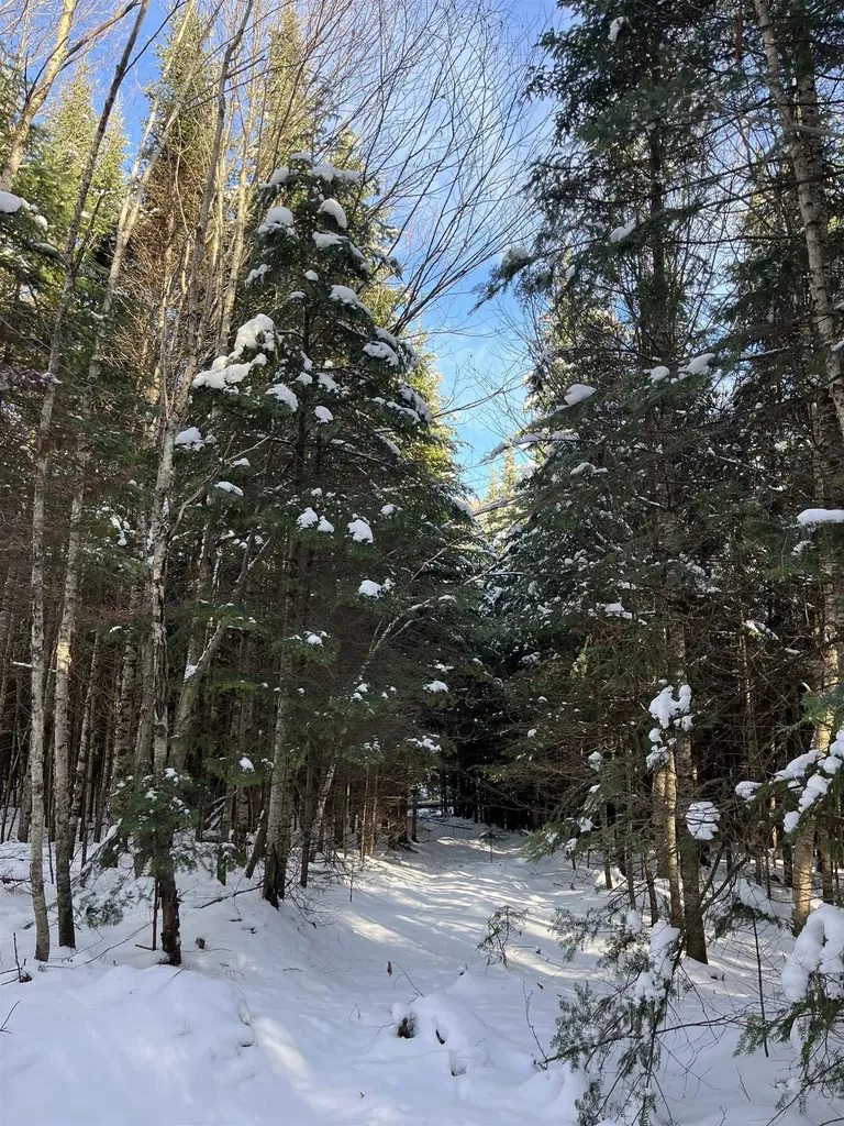 0 Shadow Lake Road Glover VT 05839