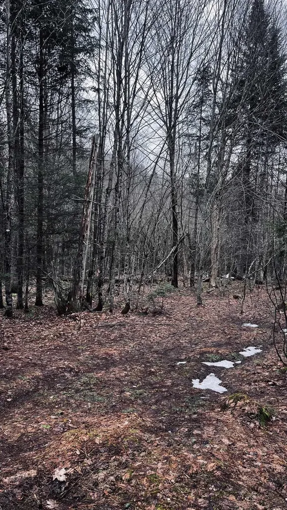 0 Shadow Lake Road Glover VT 05839