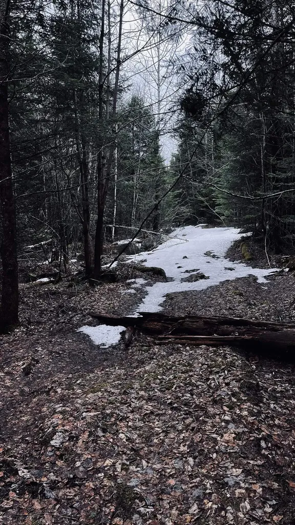 0 Shadow Lake Road Glover VT 05839