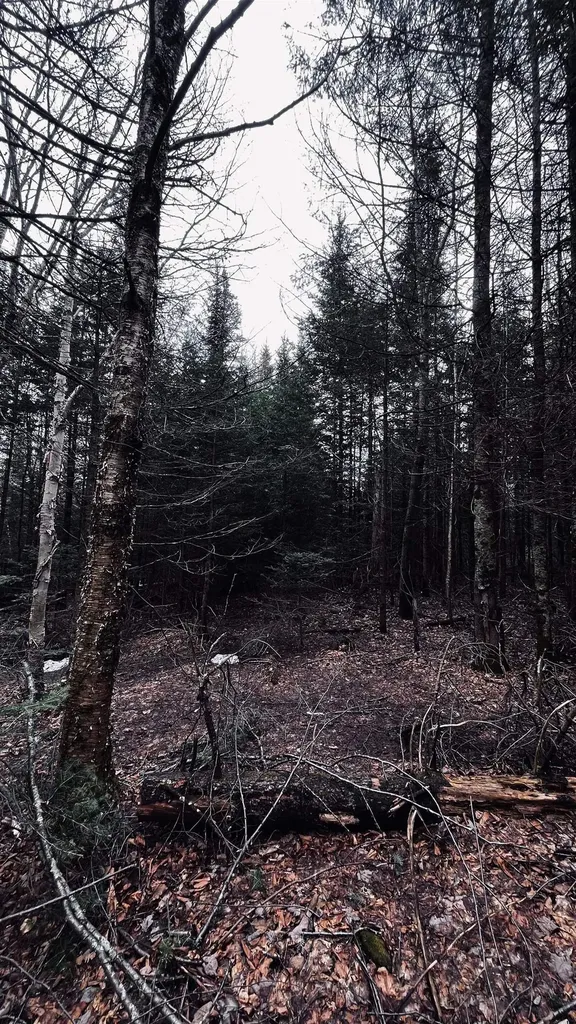 0 Shadow Lake Road Glover VT 05839