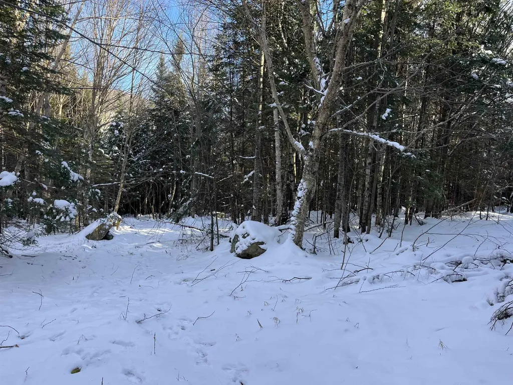 0 Shadow Lake Road Glover VT 05839