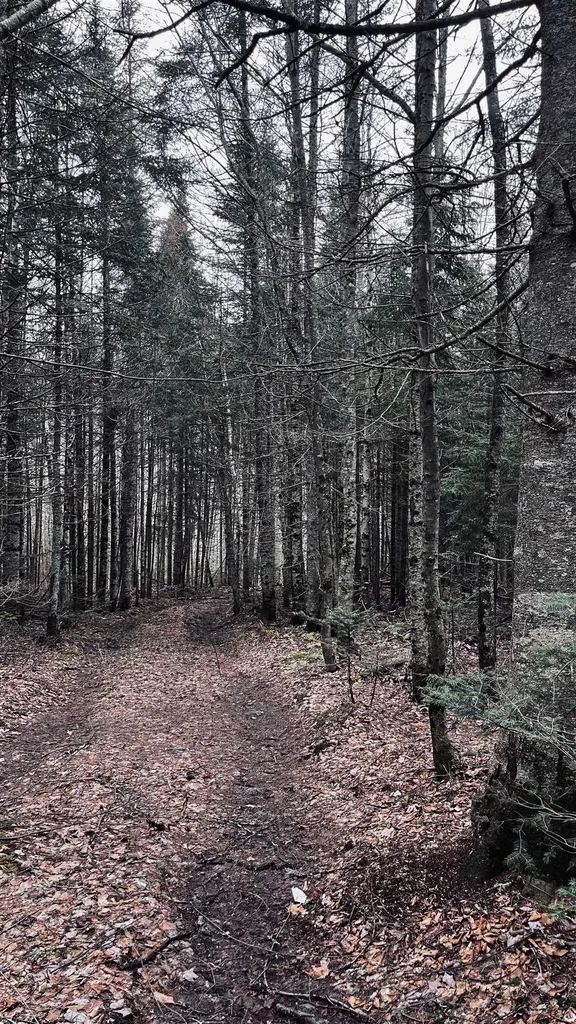 0 Shadow Lake Road Glover VT 05839