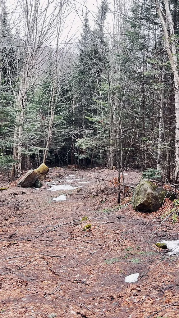 0 Shadow Lake Road Glover VT 05839
