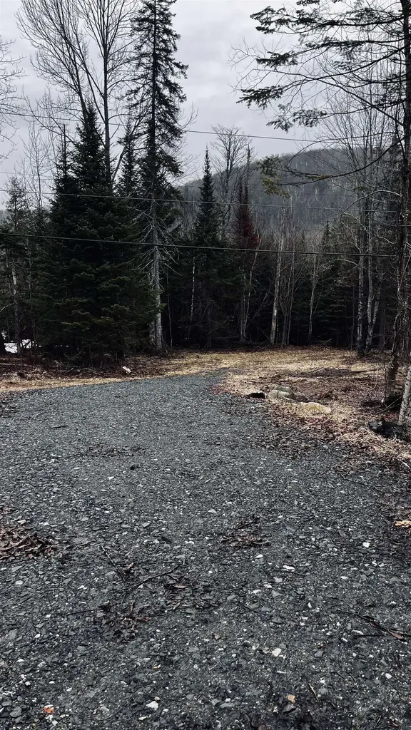 0 Shadow Lake Road Glover VT 05839