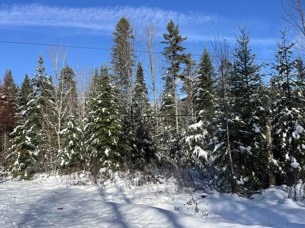0 Shadow Lake Road Glover VT 05839