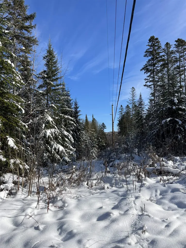 0 Shadow Lake Road Glover VT 05839