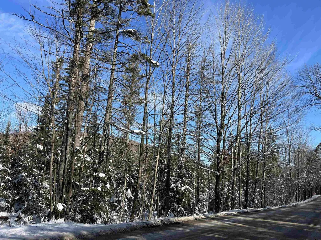 0 Shadow Lake Road Glover VT 05839