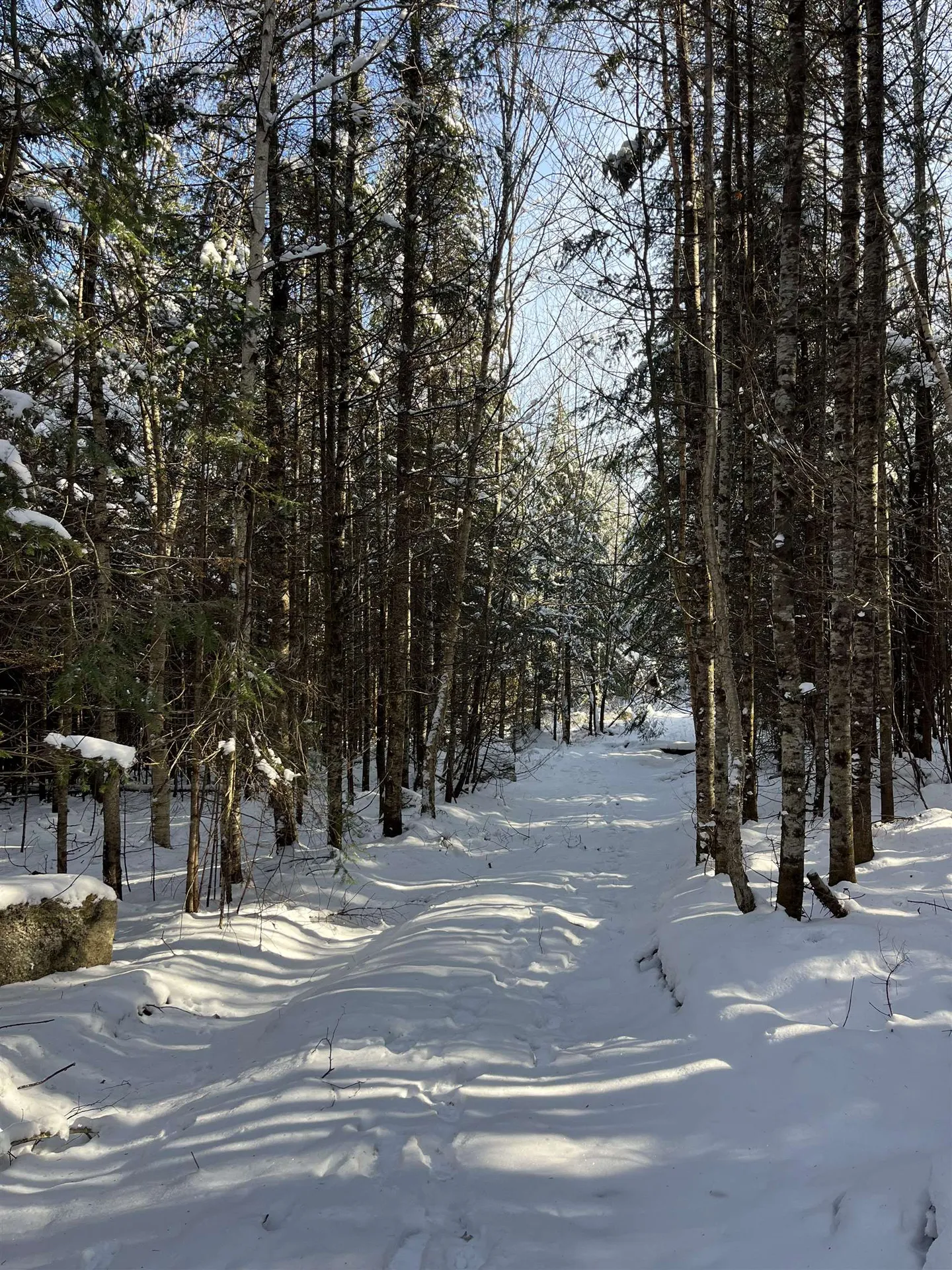 0 Shadow Lake Road Glover VT 05839