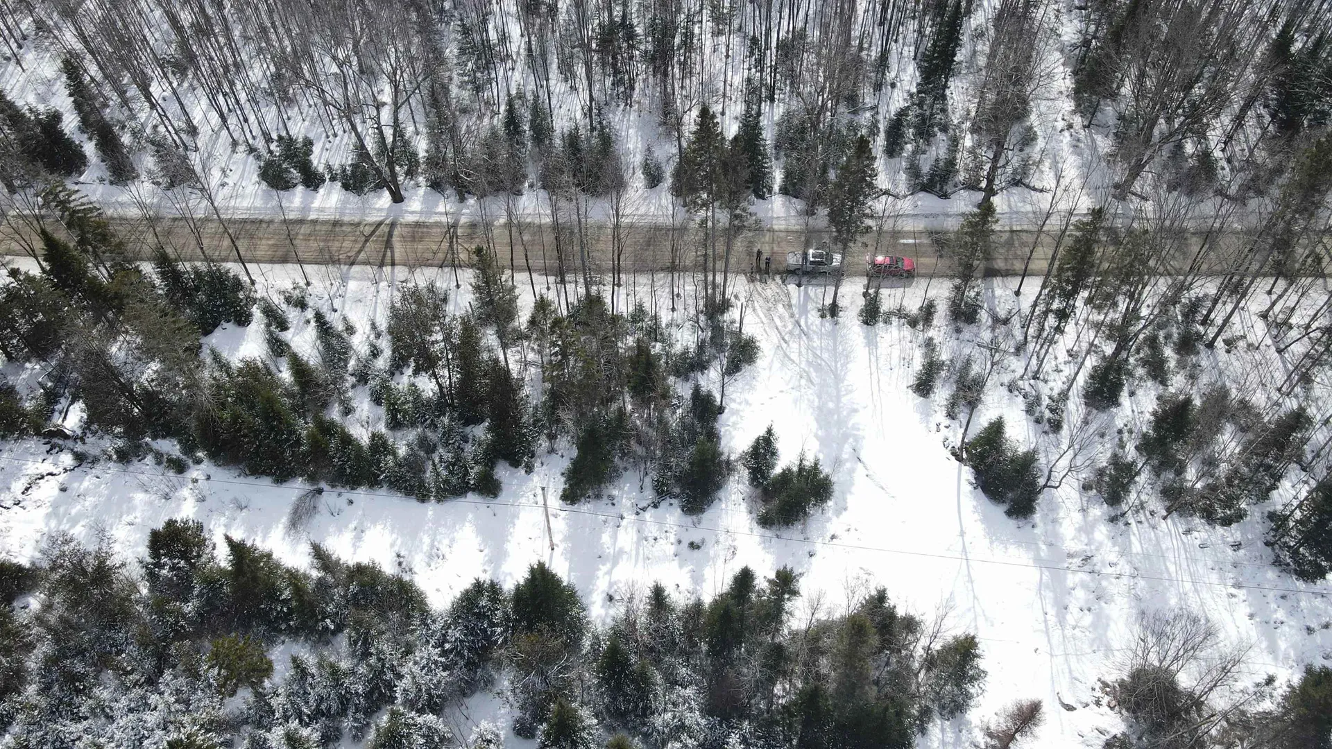 0 Shadow Lake Road Glover VT 05839