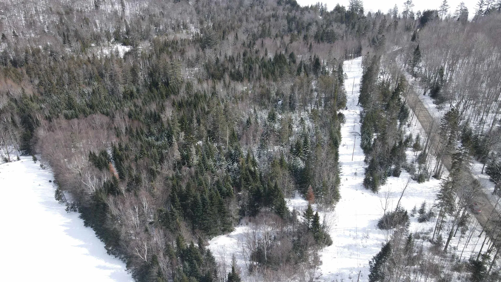 0 Shadow Lake Road Glover VT 05839