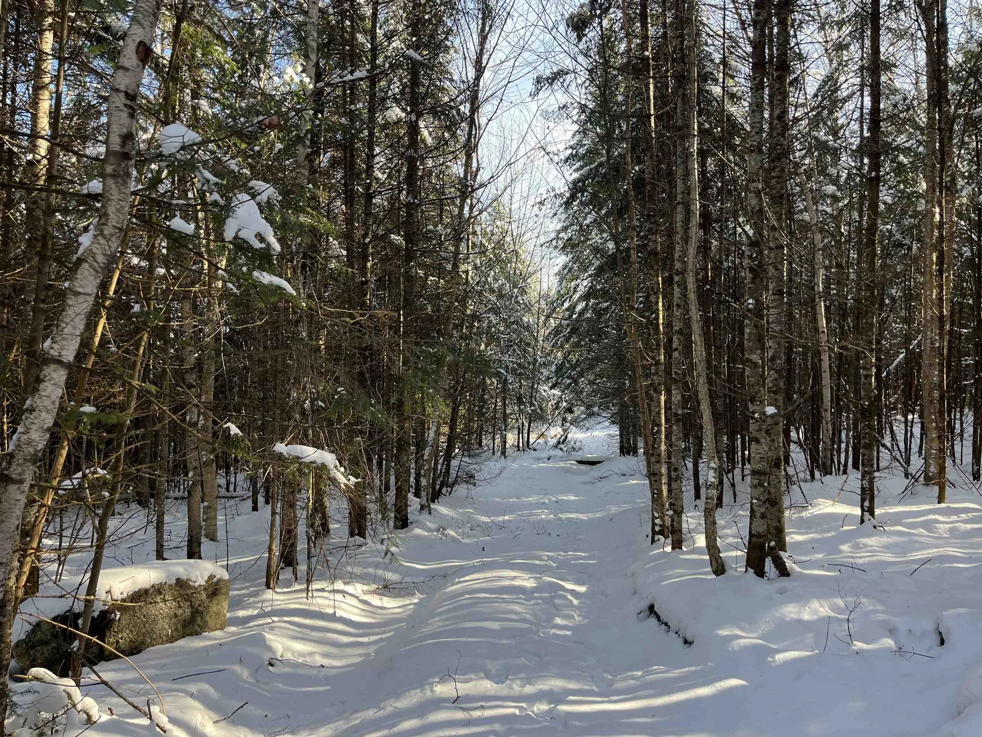 0 Shadow Lake Road Glover VT 05839