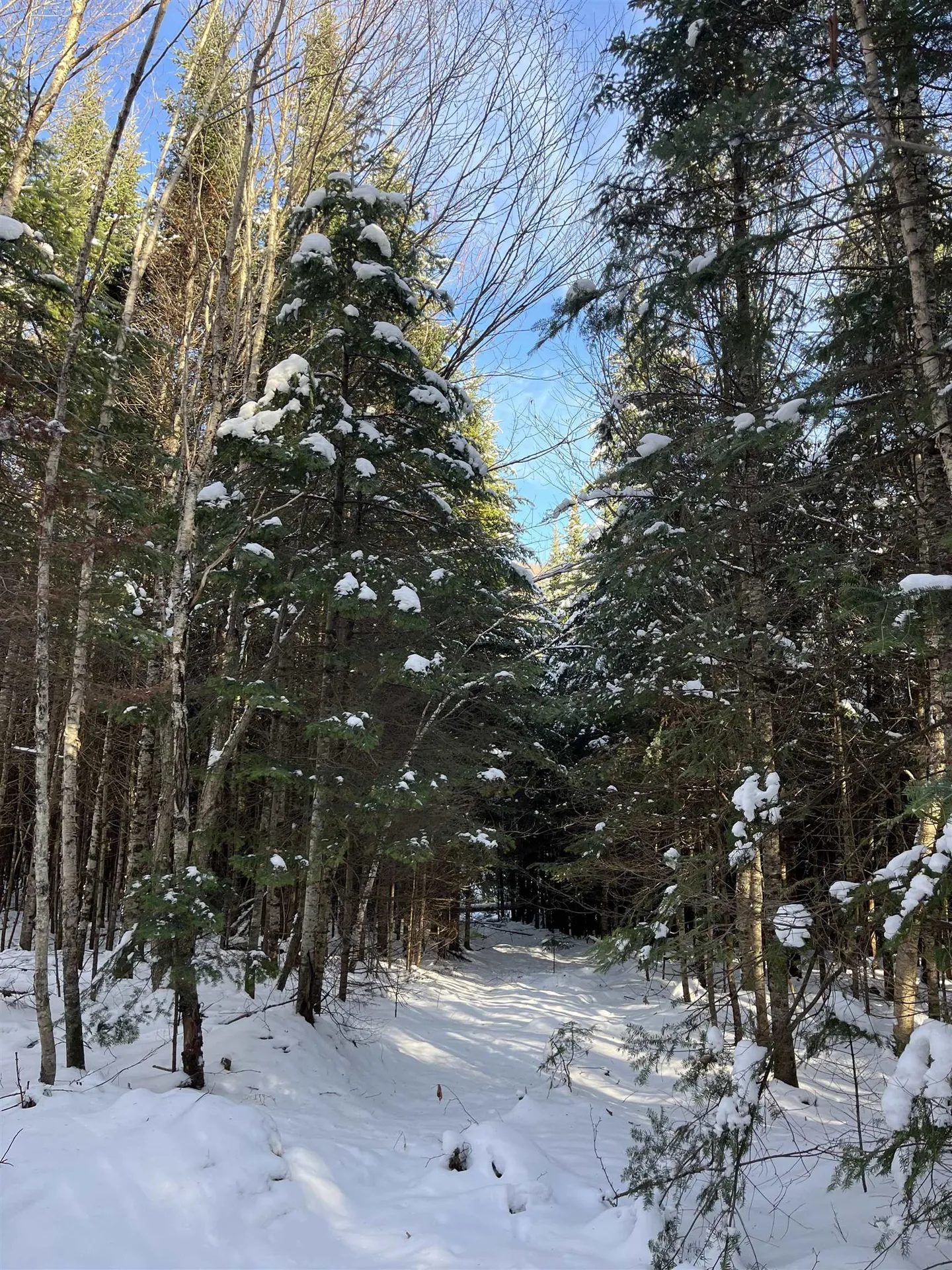 0 Shadow Lake Road Glover VT 05839