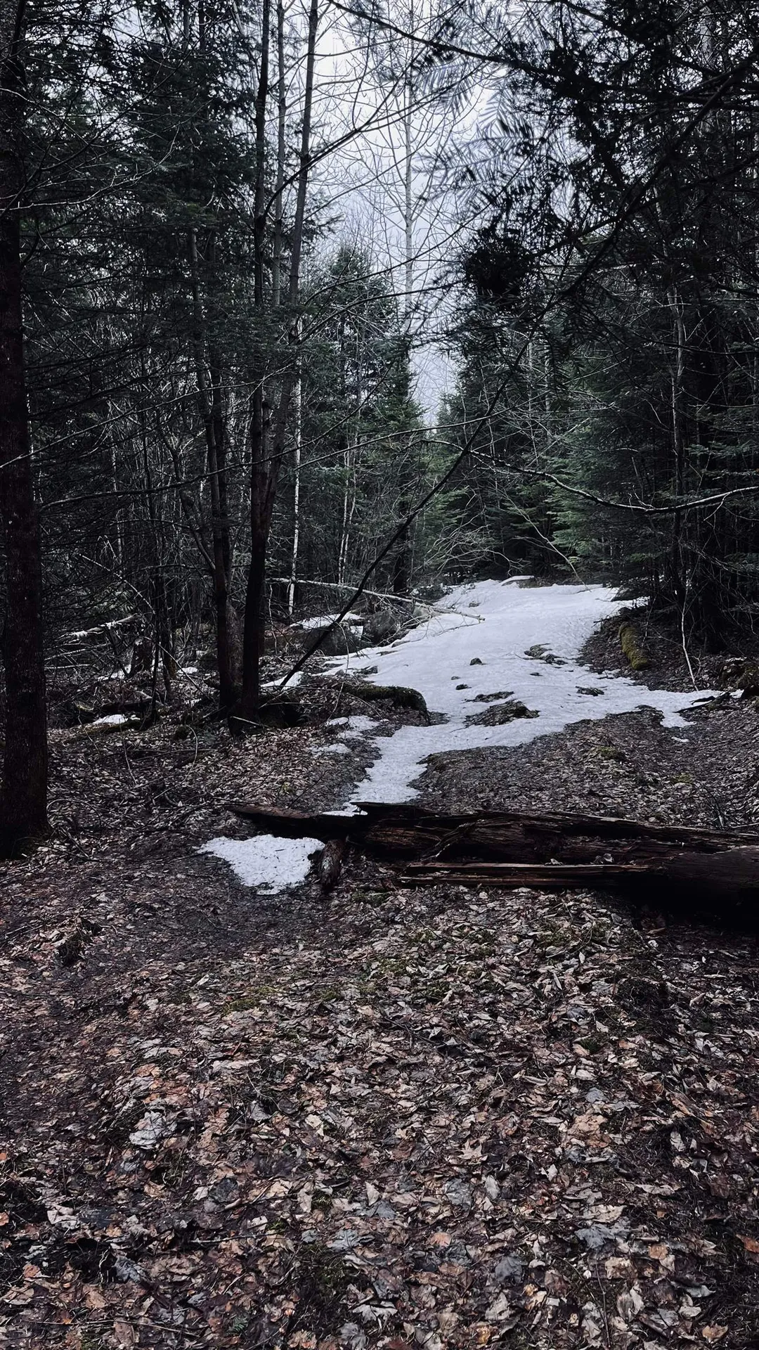 0 Shadow Lake Road Glover VT 05839