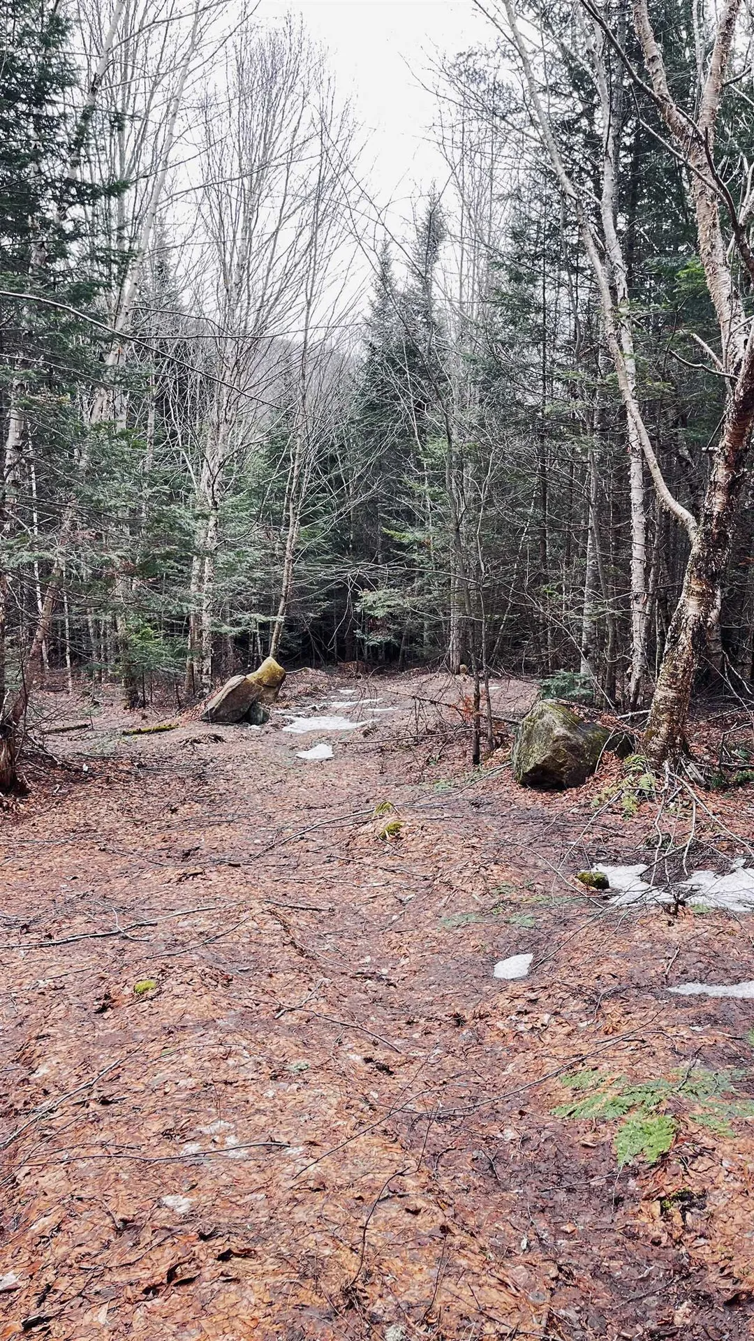 0 Shadow Lake Road Glover VT 05839