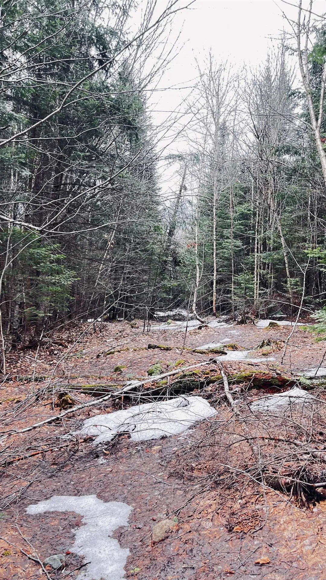 0 Shadow Lake Road Glover VT 05839