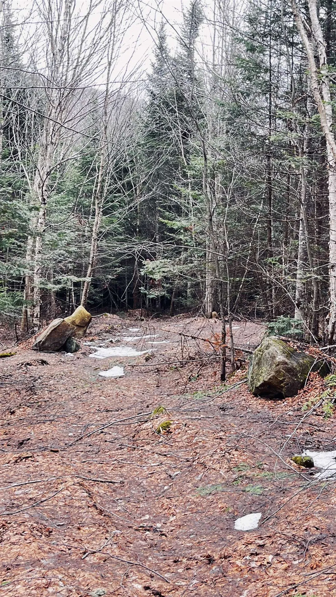 0 Shadow Lake Road Glover VT 05839