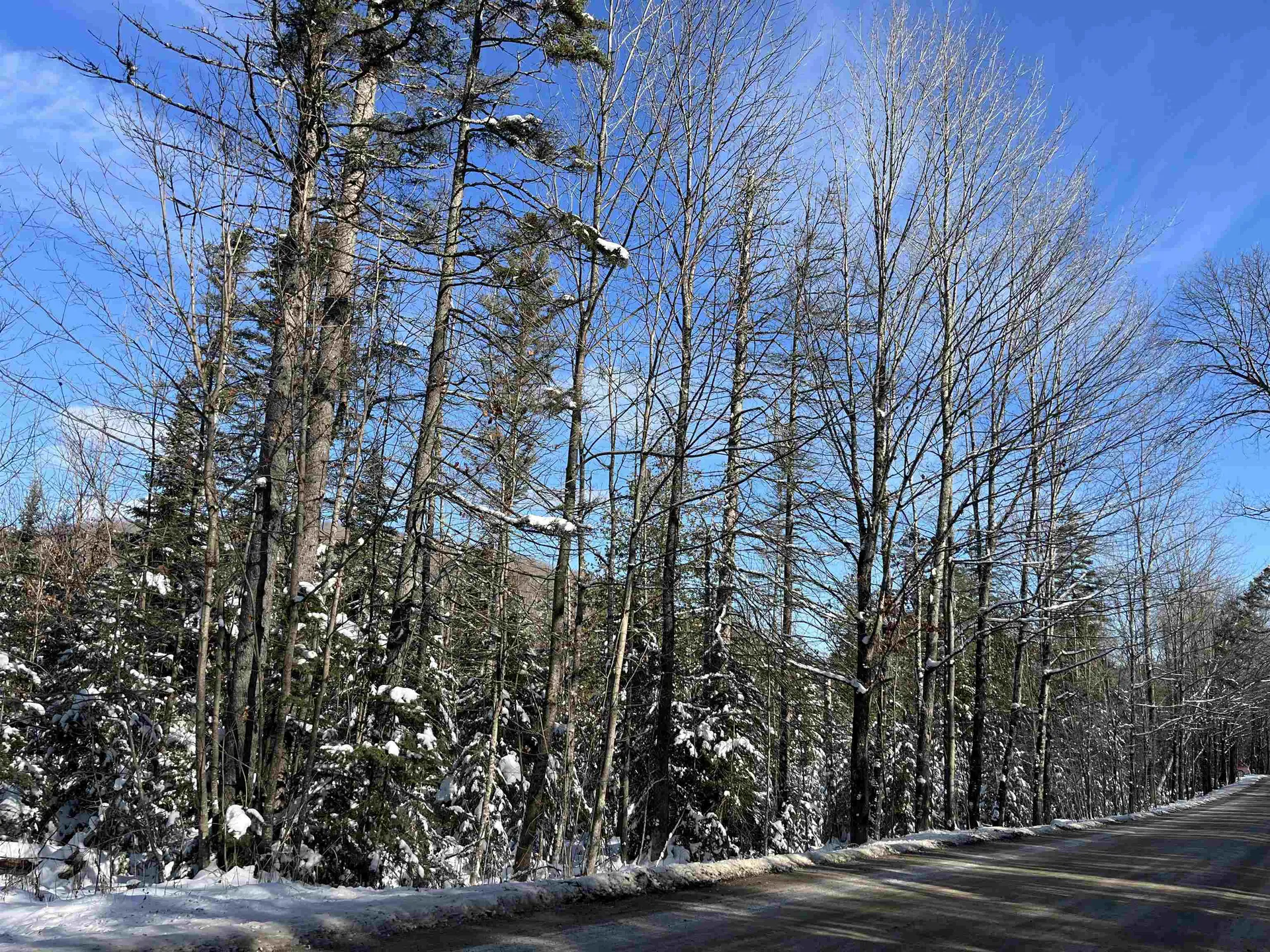 0 Shadow Lake Road Glover VT 05839
