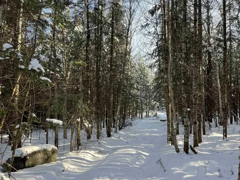 0 Shadow Lake Road Glover VT 05839