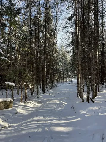 0 Shadow Lake Road Glover VT 05839