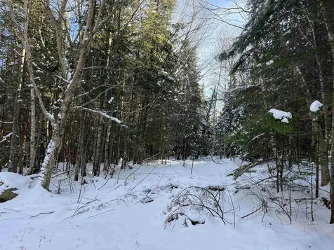 0 Shadow Lake Road Glover VT 05839