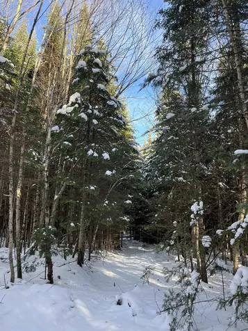 0 Shadow Lake Road Glover VT 05839